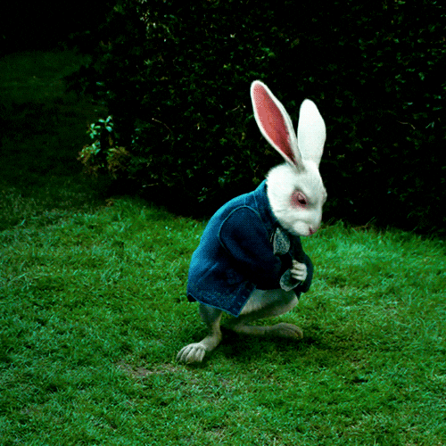 White Rabbit Alice in Wonderland GIF