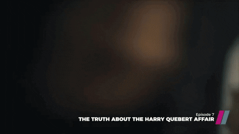 Harry Quebert tv series GIF