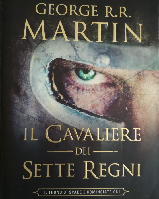 Il Cavaliere dei Sette Regni