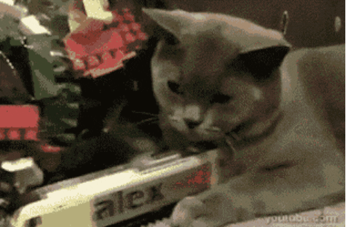 Lazy cat GIF