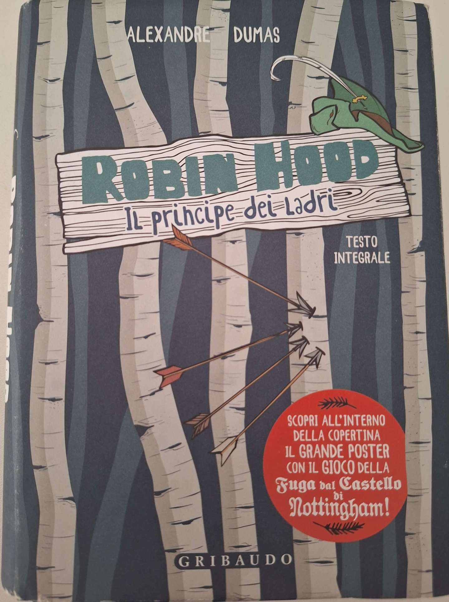 Robin Hood - Il principe dei ladri - libro